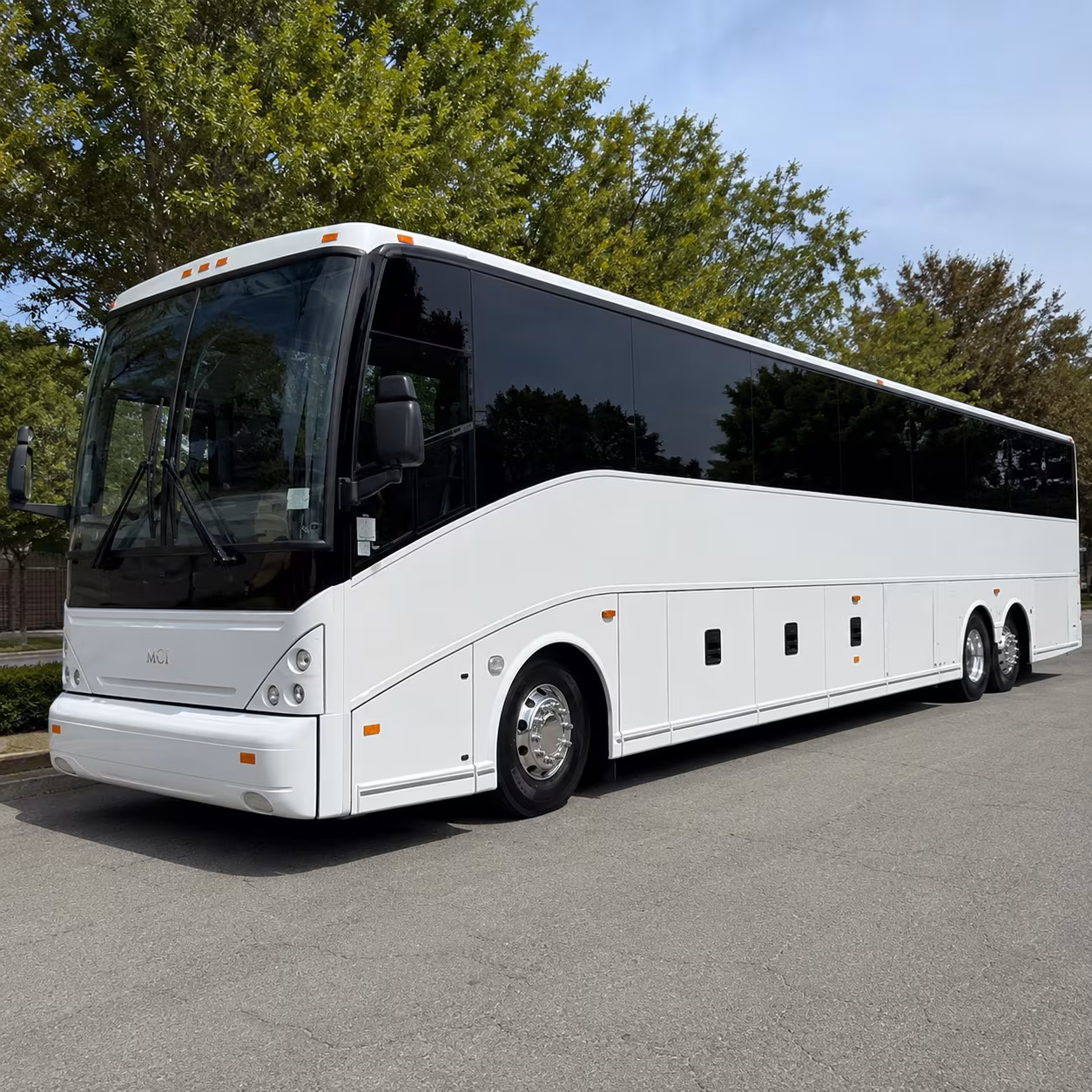 grapevine charter bus